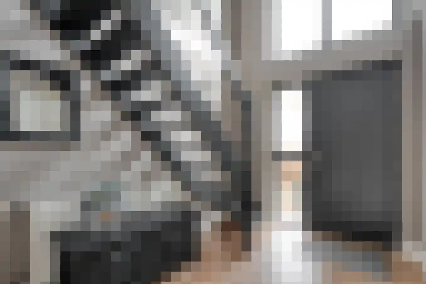 Het Bolwerk 43 Steenwijk thumbnail 14