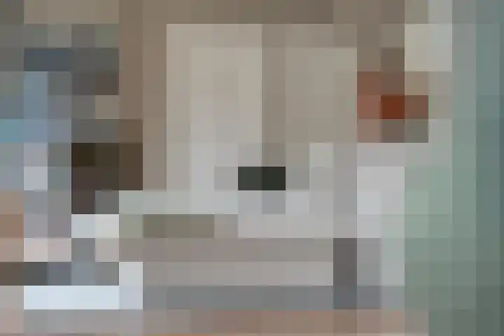 Het Bolwerk 43 Steenwijk thumbnail 16