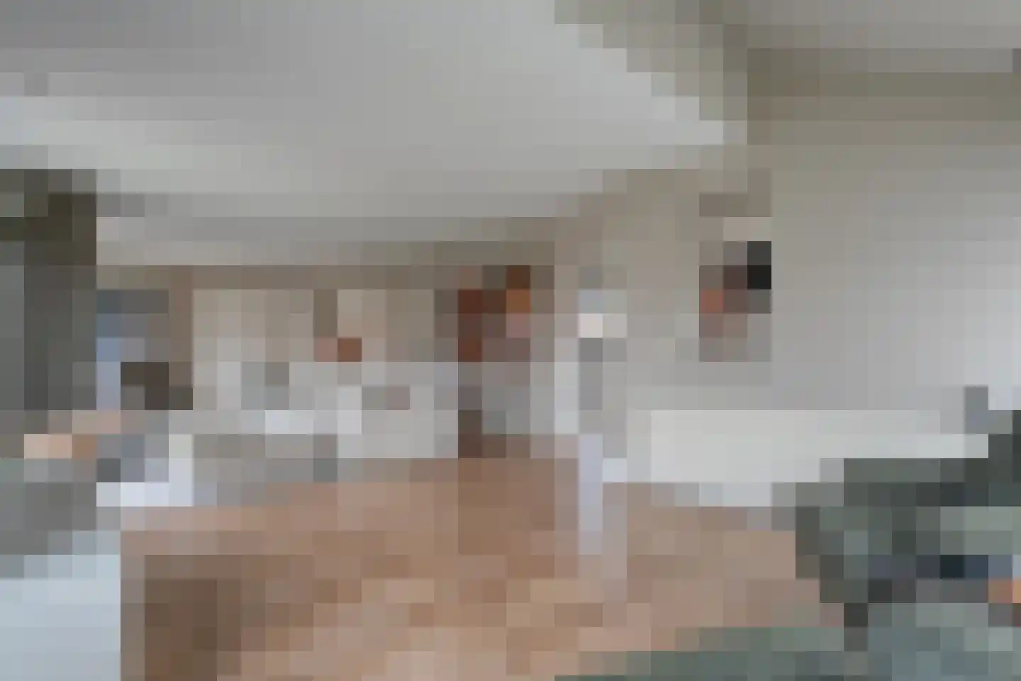 Het Bolwerk 43 Steenwijk thumbnail 17