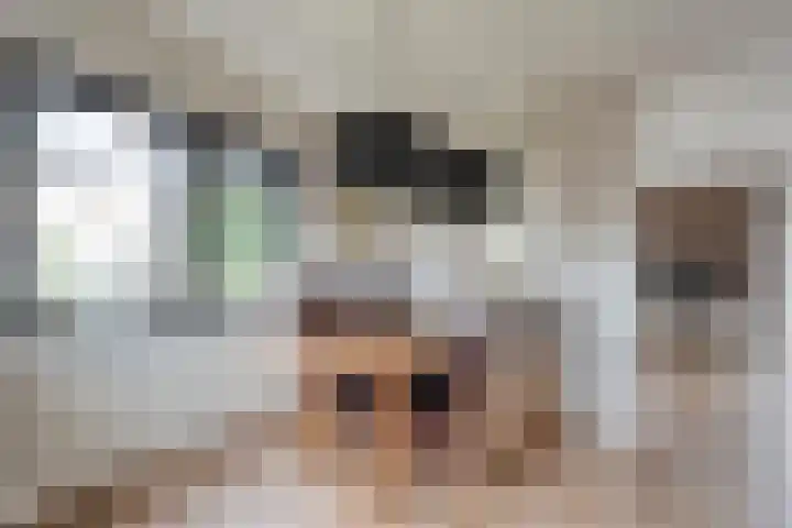 Het Bolwerk 43 Steenwijk thumbnail 18
