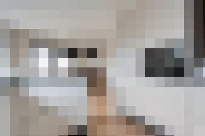 Het Bolwerk 43 Steenwijk thumbnail 21