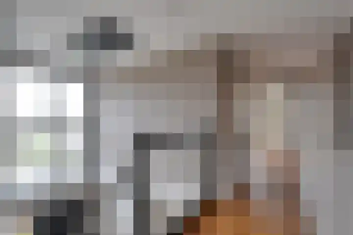 Het Bolwerk 43 Steenwijk thumbnail 26