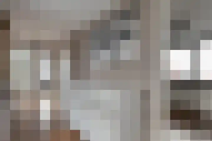 Het Bolwerk 43 Steenwijk thumbnail 27