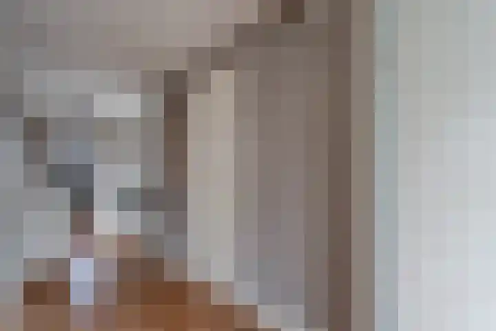 Het Bolwerk 43 Steenwijk thumbnail 28