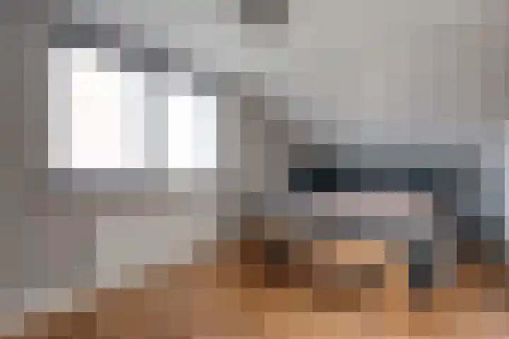 Het Bolwerk 43 Steenwijk thumbnail 29