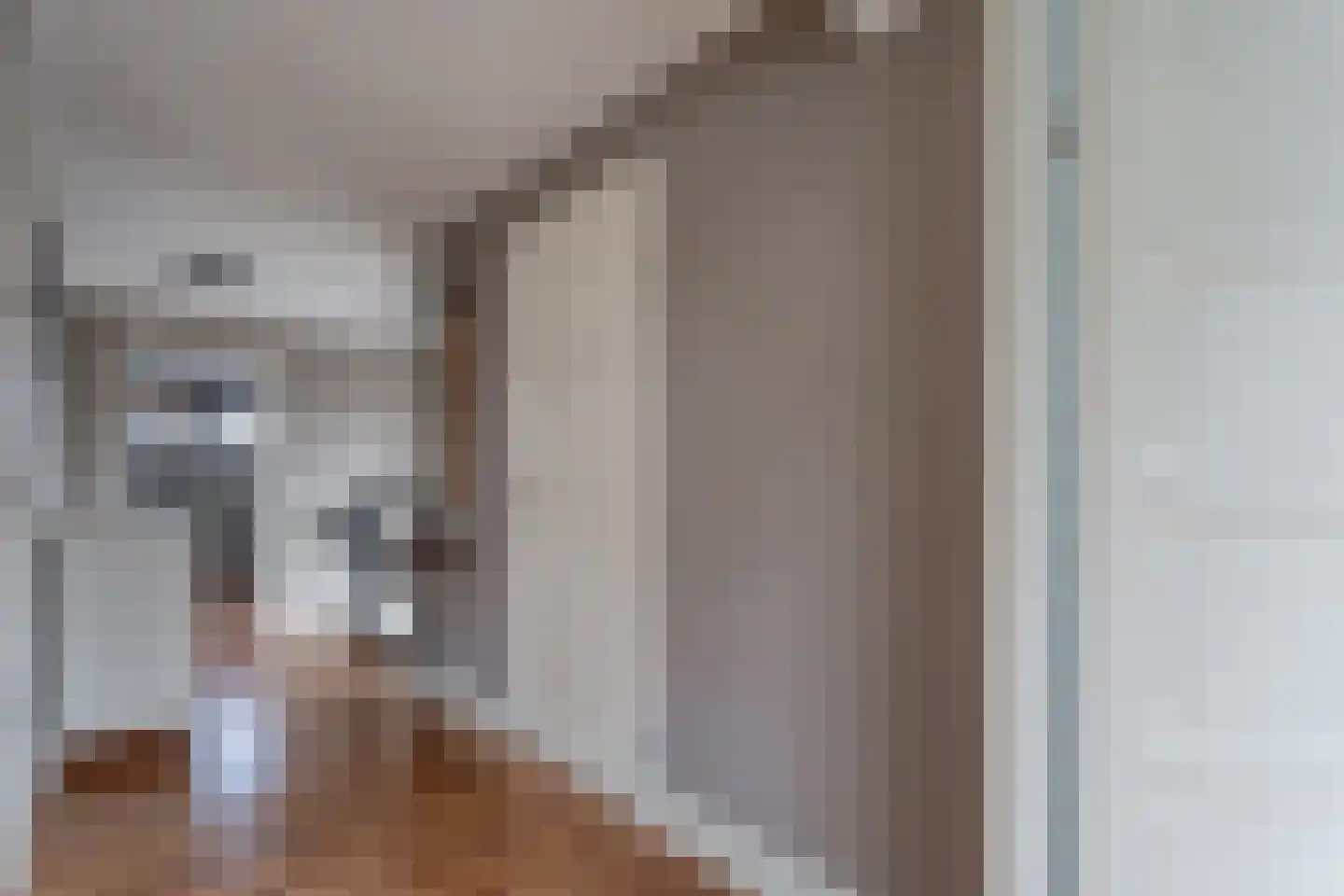 Het Bolwerk 43 Steenwijk thumbnail 30