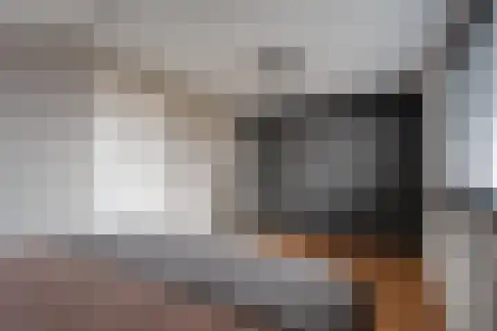 Het Bolwerk 43 Steenwijk thumbnail 30