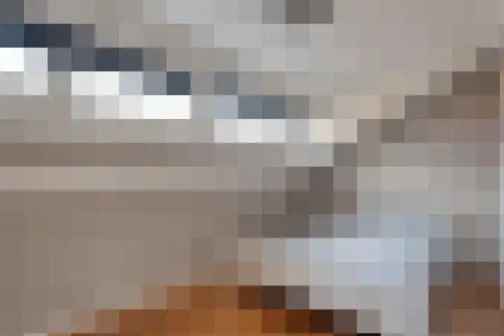 Het Bolwerk 43 Steenwijk thumbnail 31