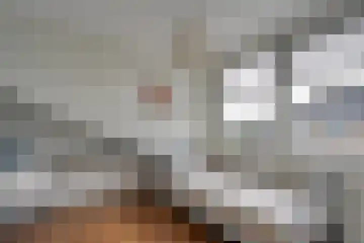 Het Bolwerk 43 Steenwijk thumbnail 33