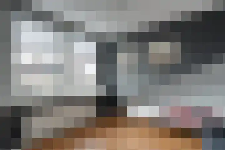Het Bolwerk 43 Steenwijk thumbnail 35