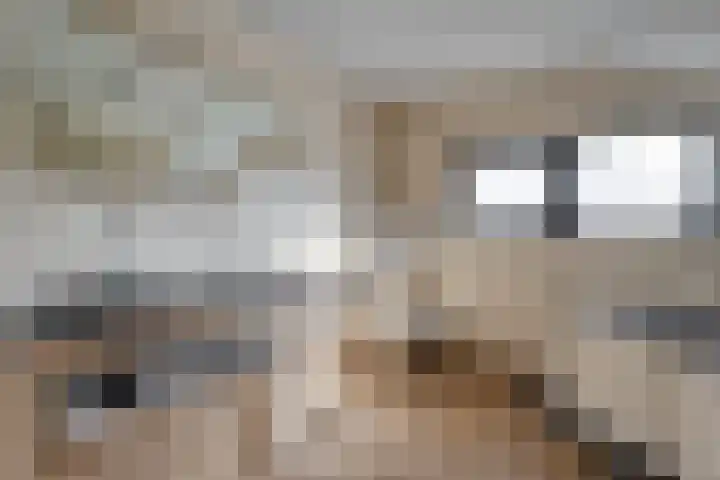 Het Bolwerk 43 Steenwijk thumbnail 37