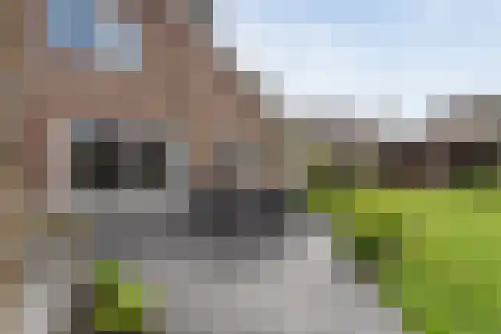 Het Bolwerk 43 Steenwijk thumbnail 41