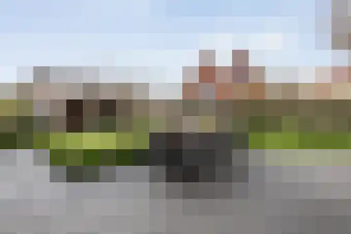Het Bolwerk 43 Steenwijk thumbnail 42