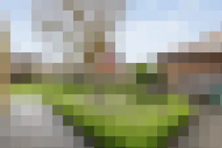Het Bolwerk 43 Steenwijk thumbnail 43