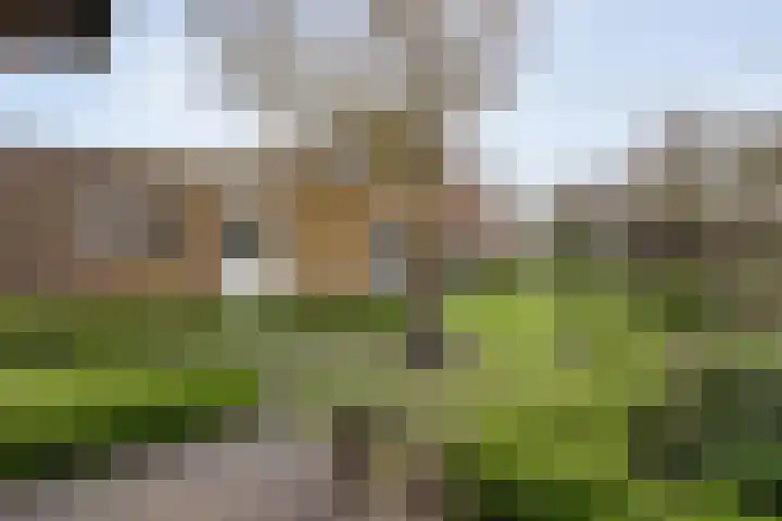 Het Bolwerk 43 Steenwijk thumbnail 44