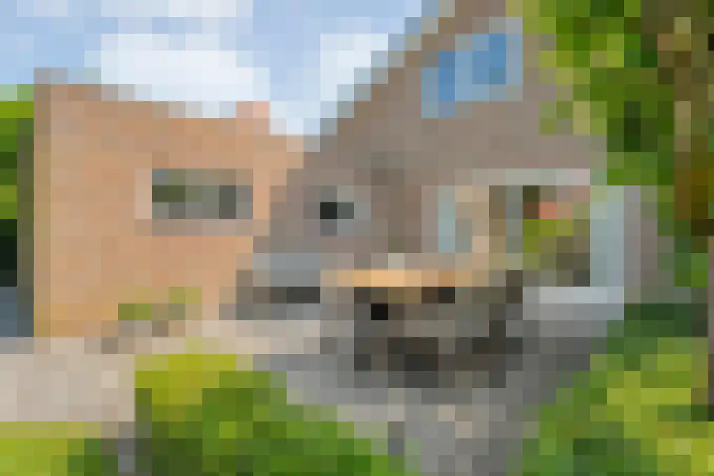 Het Bolwerk 43 Steenwijk thumbnail 44