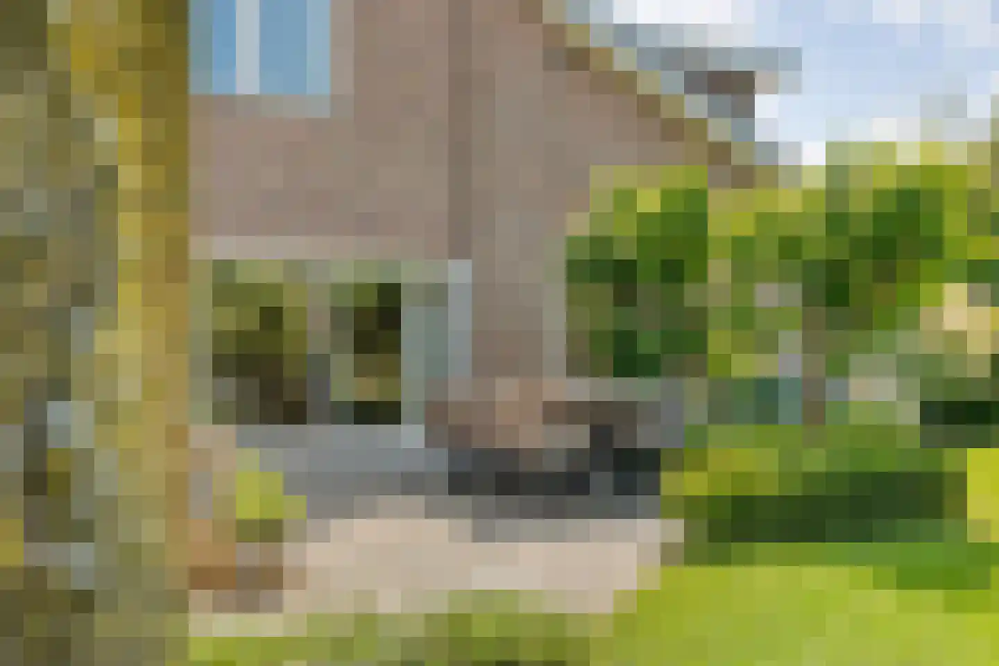Het Bolwerk 43 Steenwijk thumbnail 45