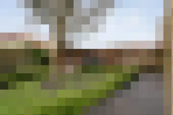 Het Bolwerk 43 Steenwijk thumbnail 45