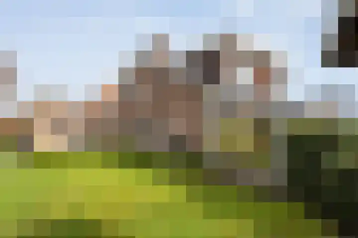 Het Bolwerk 43 Steenwijk thumbnail 46