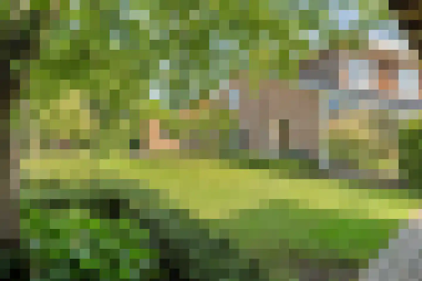 Het Bolwerk 43 Steenwijk thumbnail 46