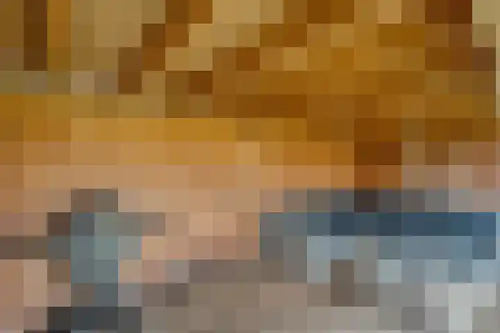 Het Bolwerk 43 Steenwijk thumbnail 47