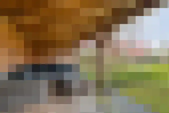 Het Bolwerk 43 Steenwijk thumbnail 48