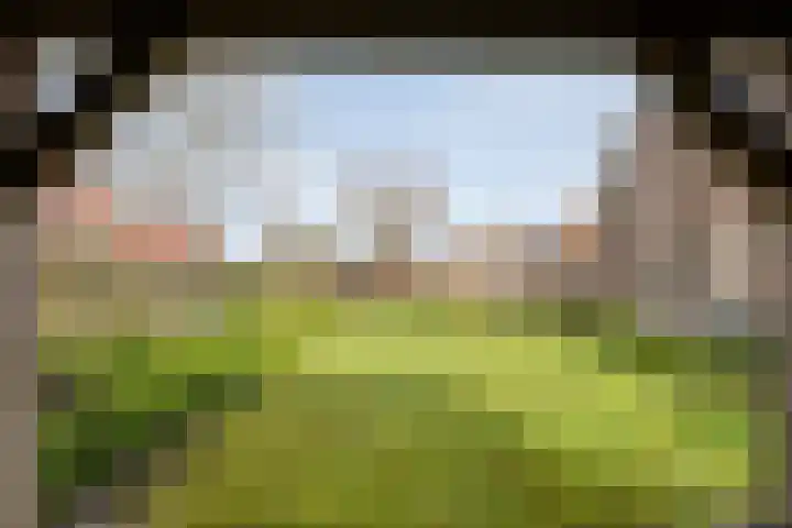 Het Bolwerk 43 Steenwijk thumbnail 49