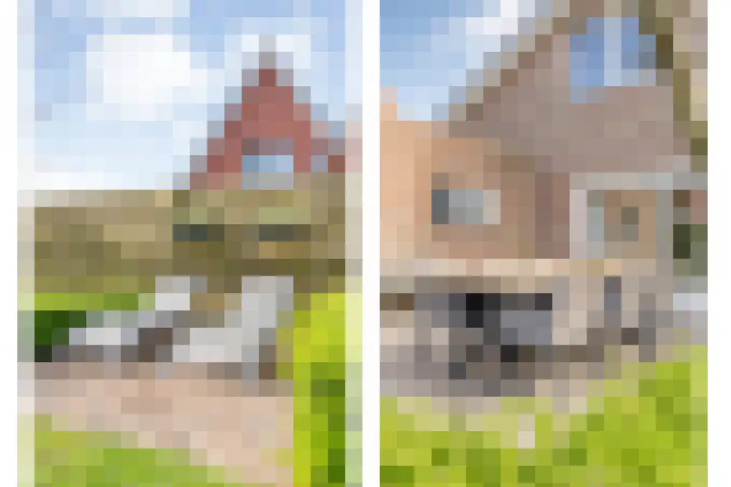 Het Bolwerk 43 Steenwijk thumbnail 49