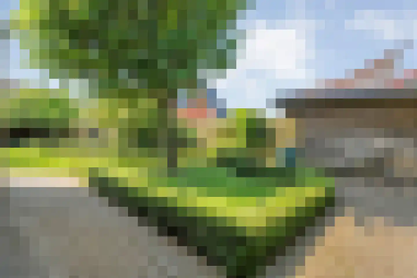 Het Bolwerk 43 Steenwijk thumbnail 49