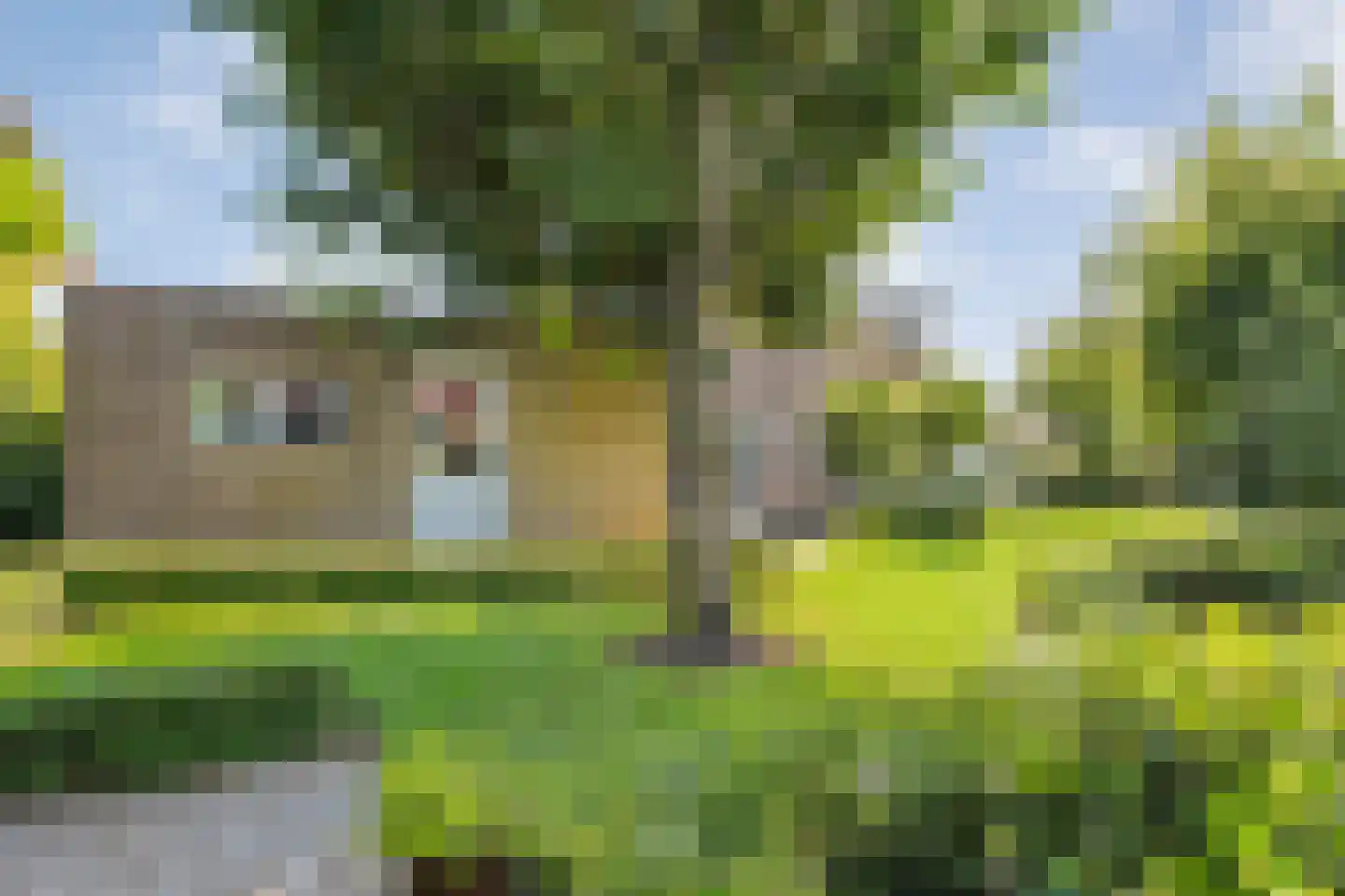 Het Bolwerk 43 Steenwijk thumbnail 50