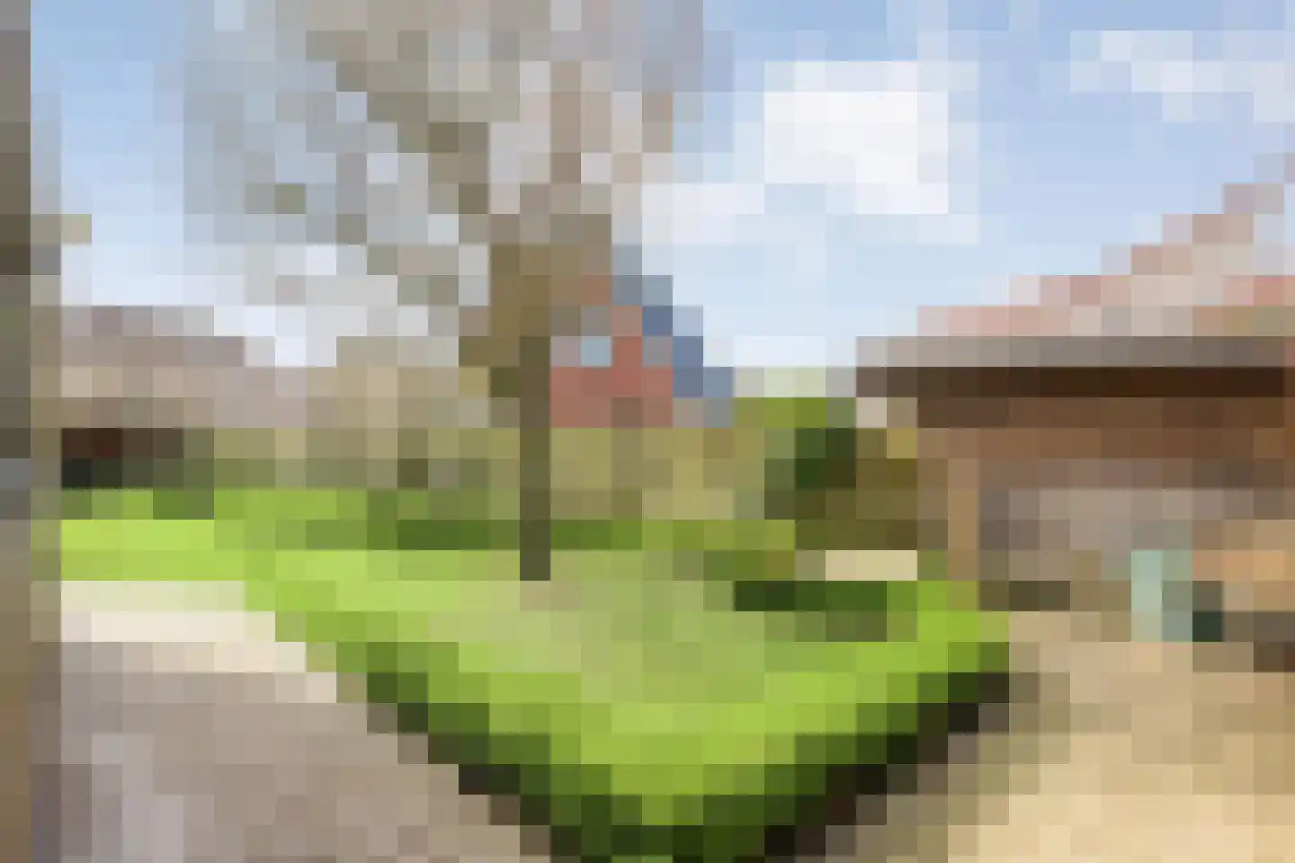 Het Bolwerk 43 Steenwijk thumbnail 50