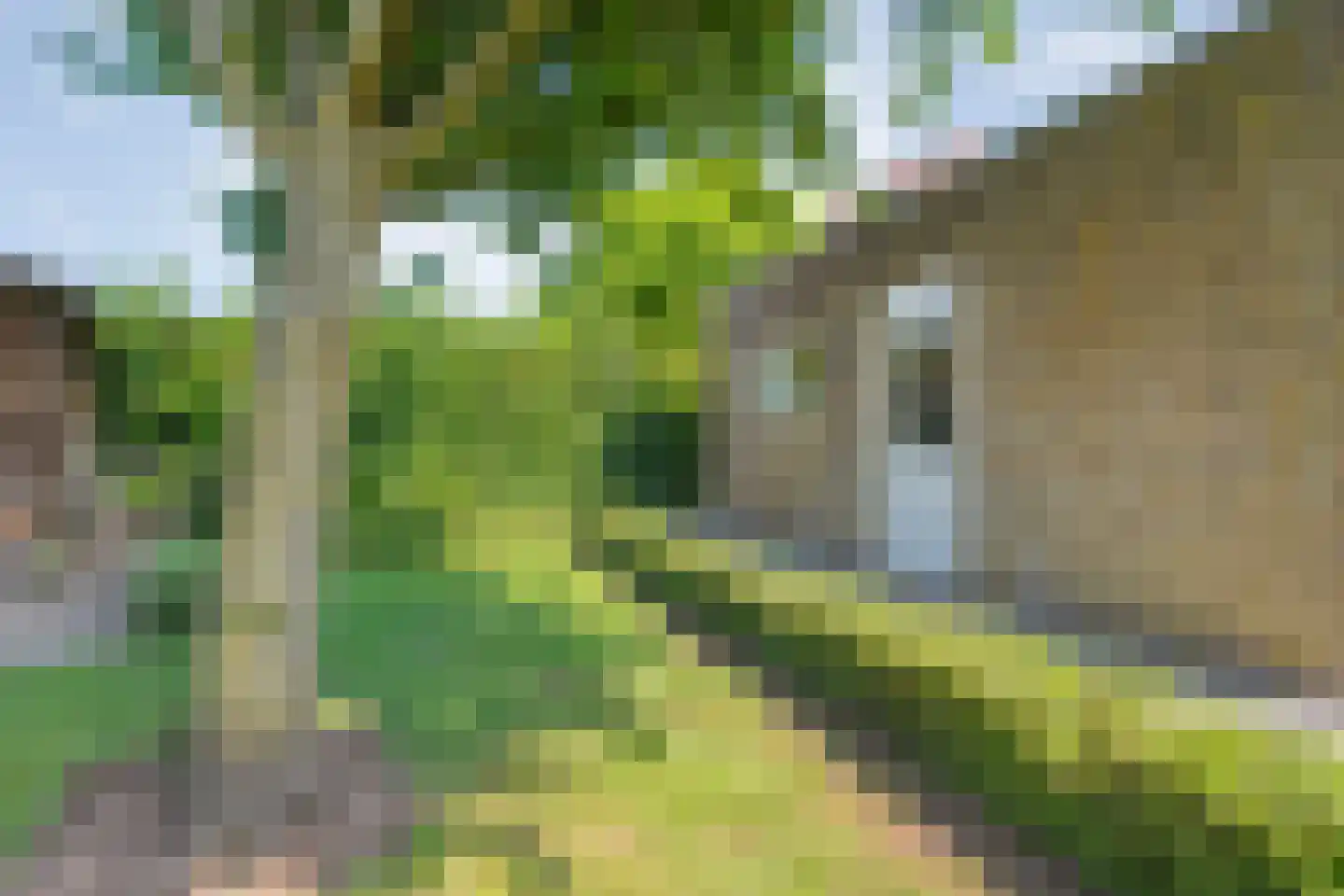 Het Bolwerk 43 Steenwijk thumbnail 51