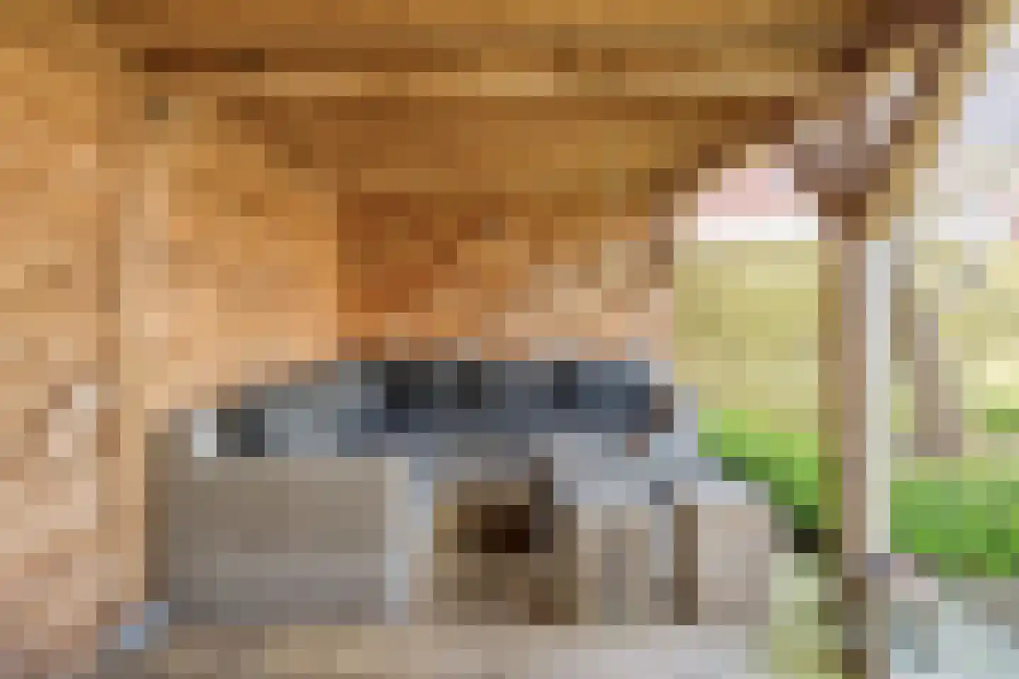 Het Bolwerk 43 Steenwijk thumbnail 55