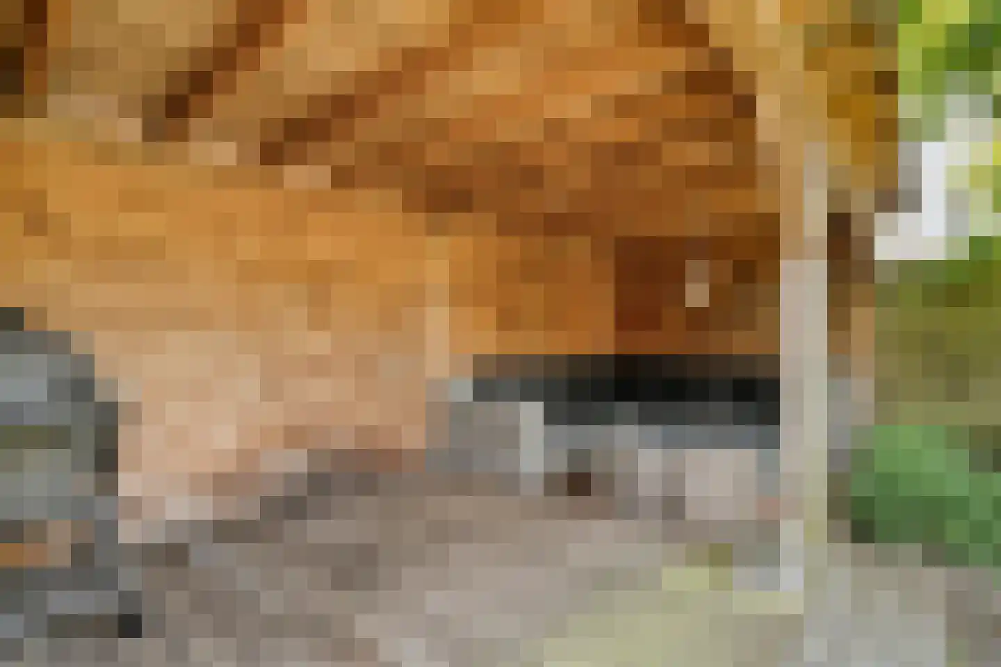 Het Bolwerk 43 Steenwijk thumbnail 55