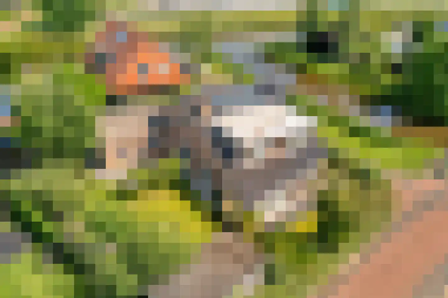 Het Bolwerk 43 Steenwijk thumbnail 57