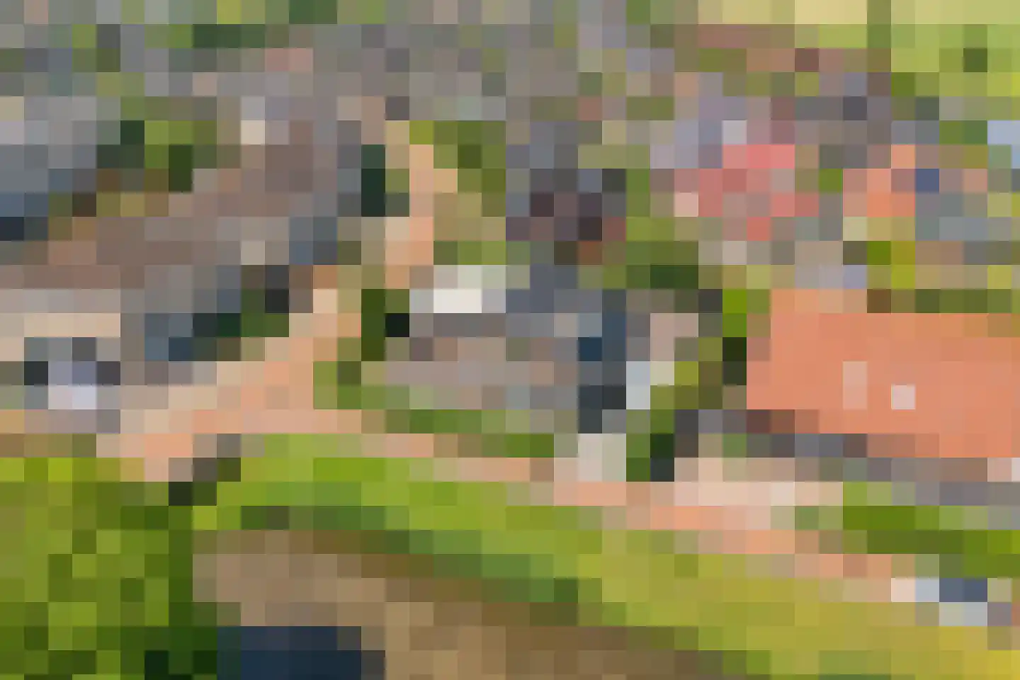 Het Bolwerk 43 Steenwijk thumbnail 58