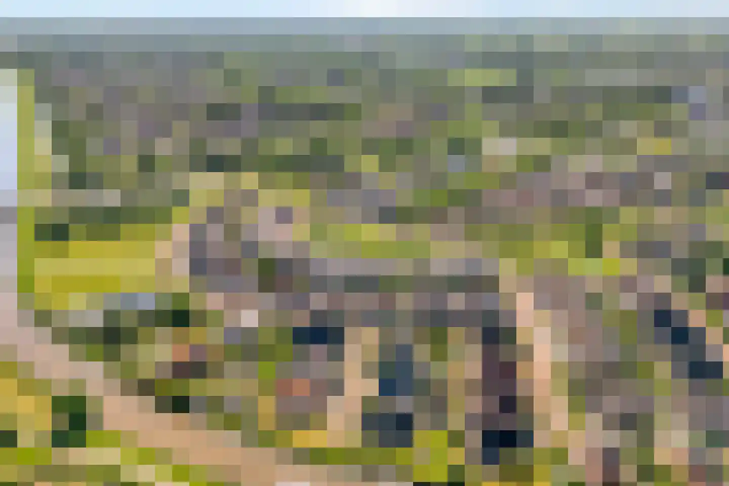 Het Bolwerk 43 Steenwijk thumbnail 59