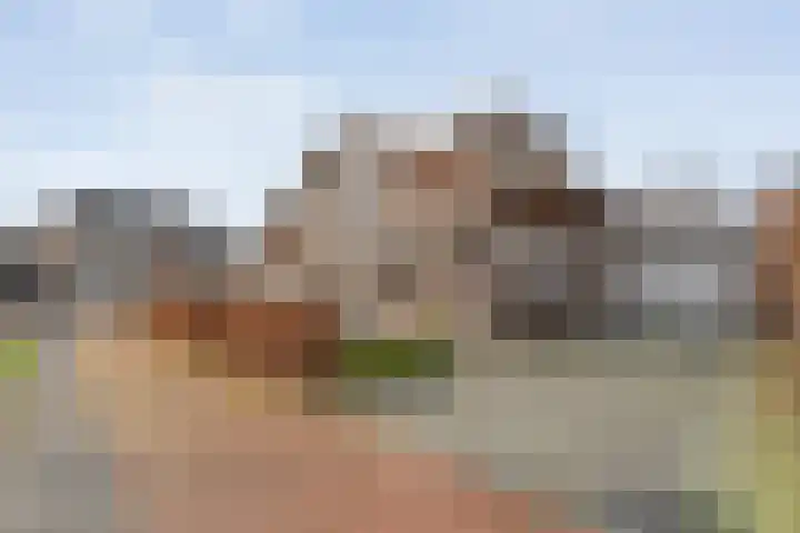 Het Bolwerk 43 Steenwijk thumbnail 7