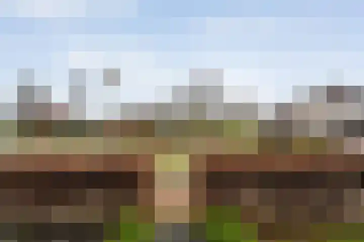 Het Bolwerk 43 Steenwijk thumbnail 8