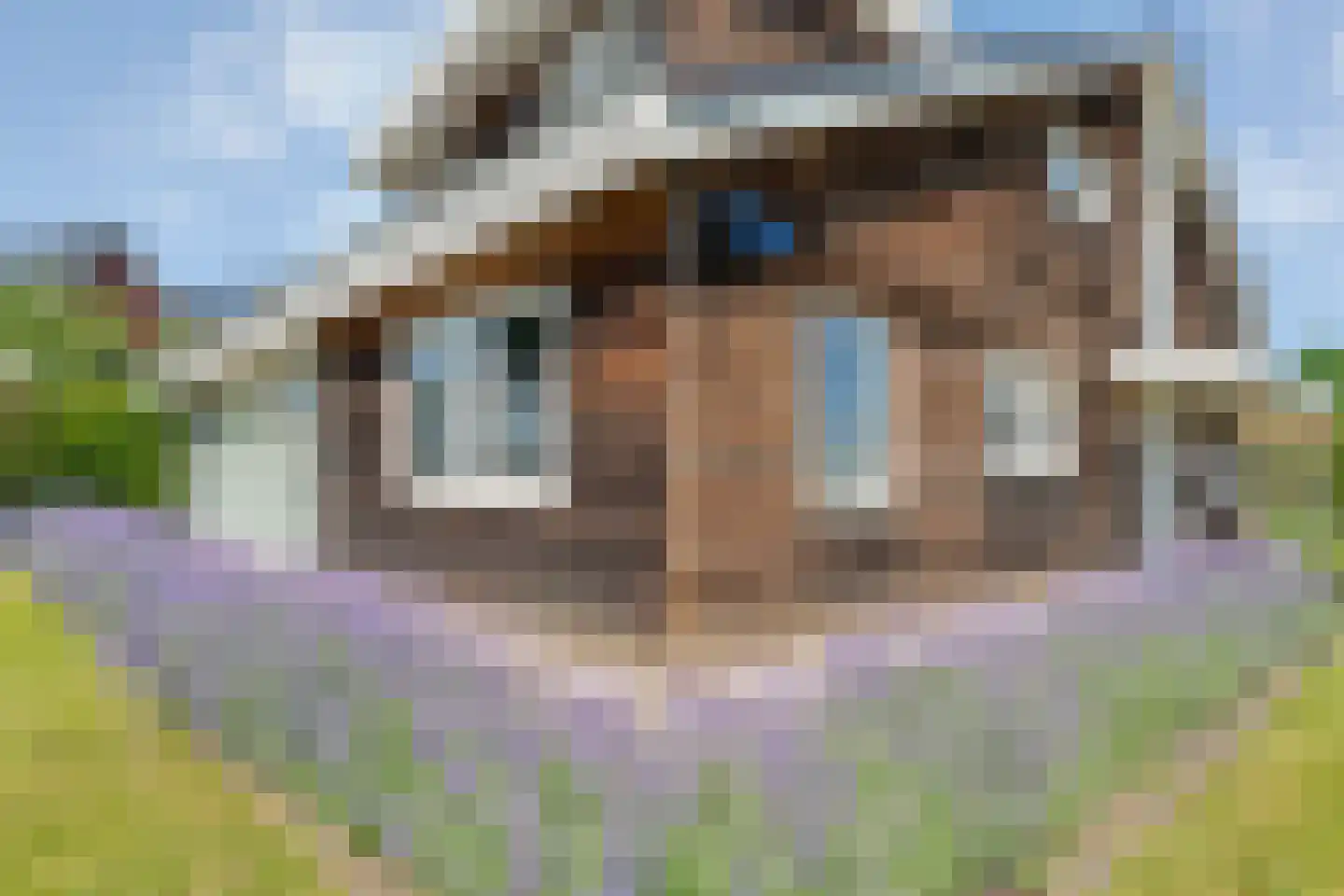 Het Bolwerk 43 Steenwijk thumbnail 8