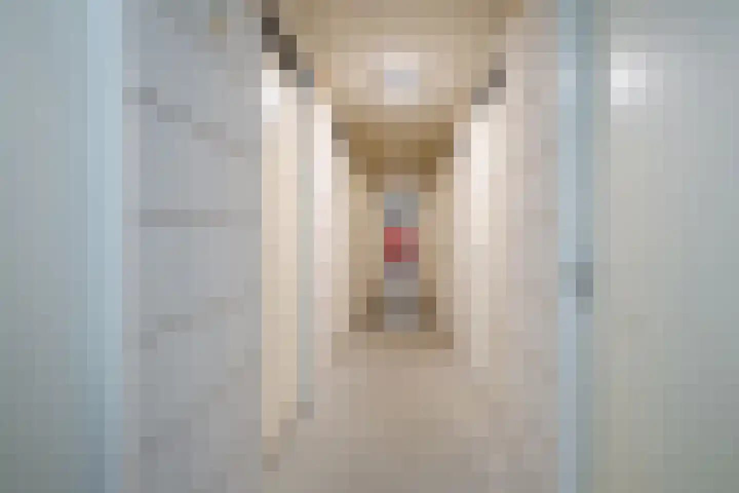 Het Bolwerk 51 Breda thumbnail 43