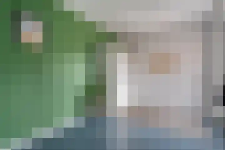 Het Bolwerk 6 Balkbrug thumbnail 17