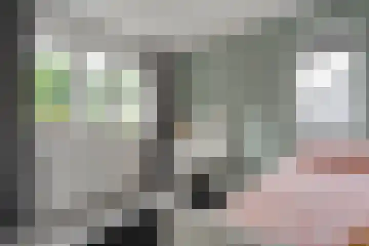 Het Bolwerk 6 Balkbrug thumbnail 22