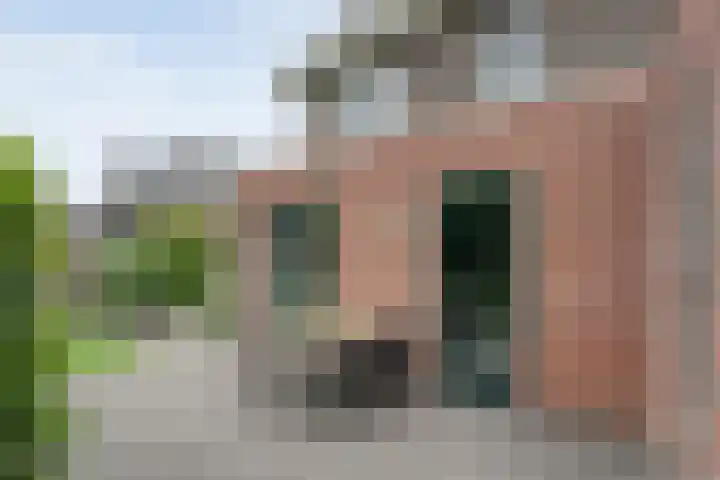 Het Bolwerk 6 Balkbrug thumbnail 37