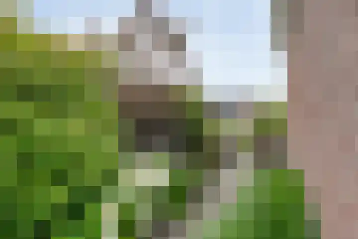 Het Bolwerk 6 Balkbrug thumbnail 42