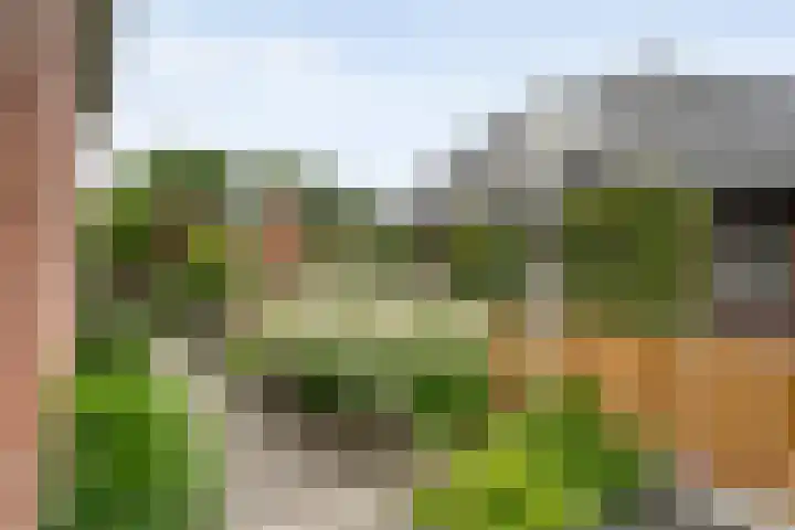 Het Bolwerk 6 Balkbrug thumbnail 44