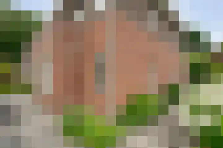 Het Bolwerk 6 Balkbrug thumbnail 45