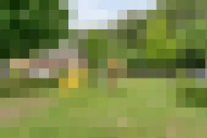 Het Bolwerk 6 Balkbrug thumbnail 47