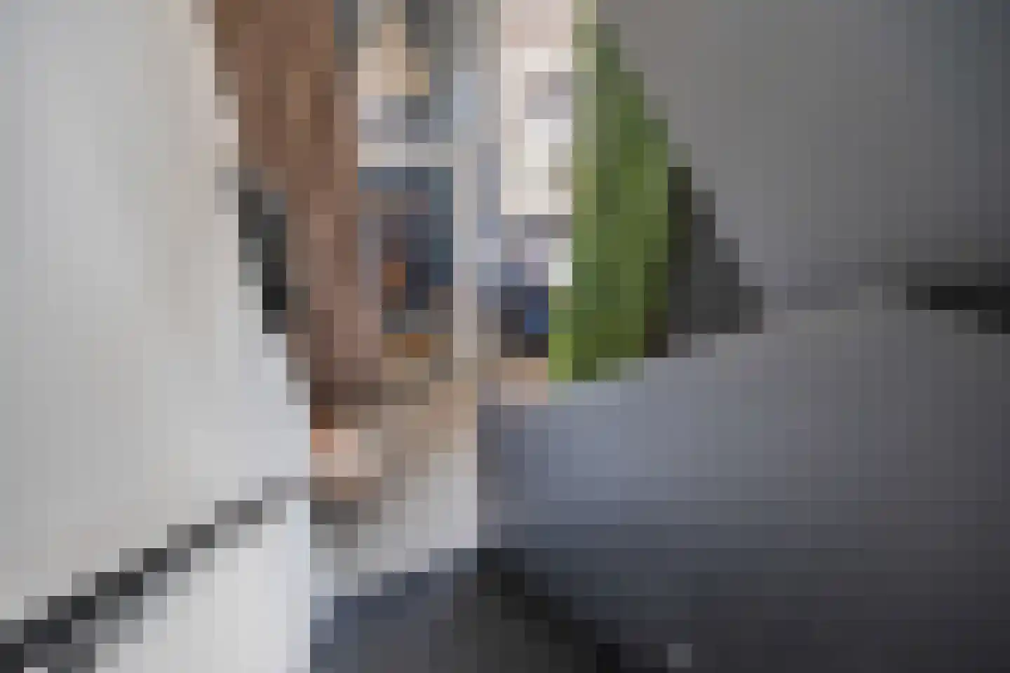 Het Bolwerk 66 Breda thumbnail 10