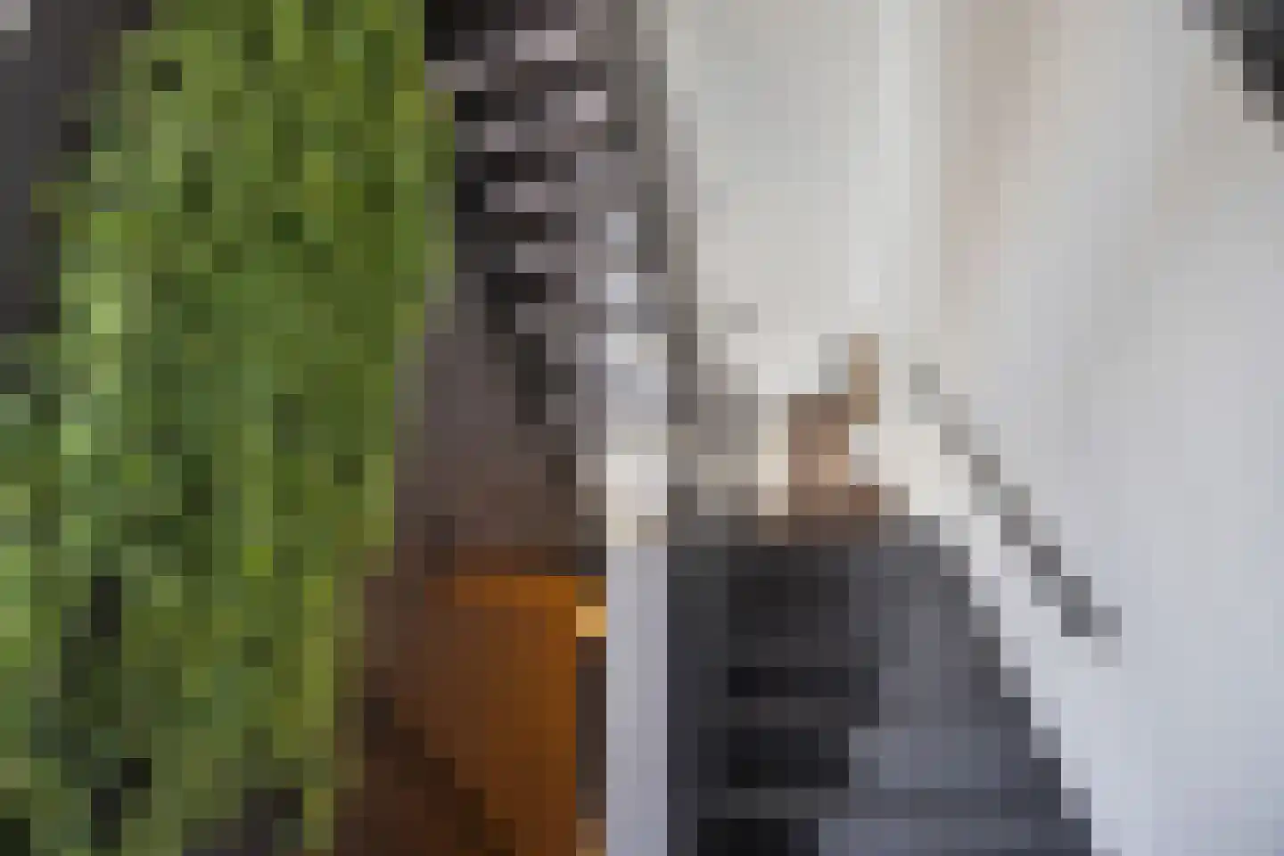 Het Bolwerk 66 Breda thumbnail 13